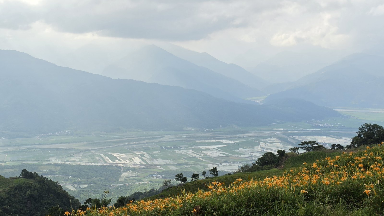 六十石山，金針花季前一天。上山下山來回 50.3 公里，實測 0.358 %SOC/km，幾乎等於平路，上山多耗的，下山回充還回來了。